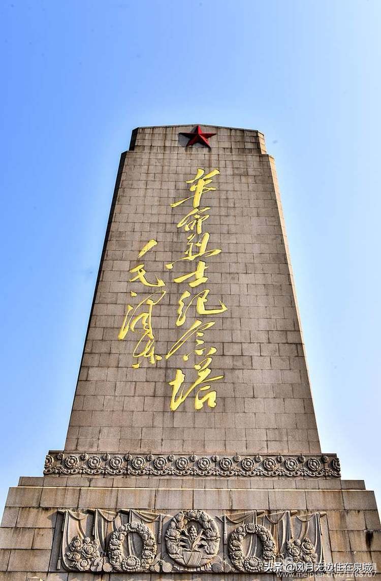 济南一颗梧桐树,济南的法国梧桐