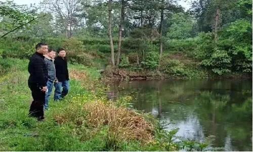 农民用土方治好类风湿性关节炎,老农治疗风湿关节疼