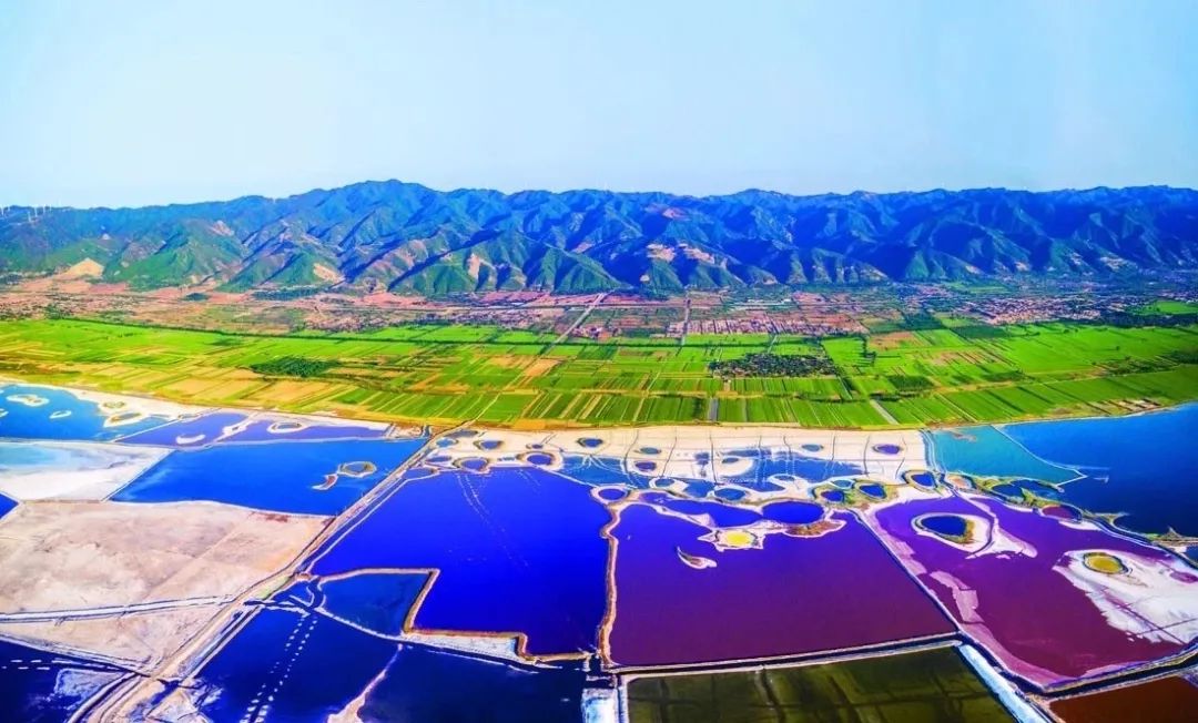 你们听说过死海吗,你听说过海洋中的强大生物吗