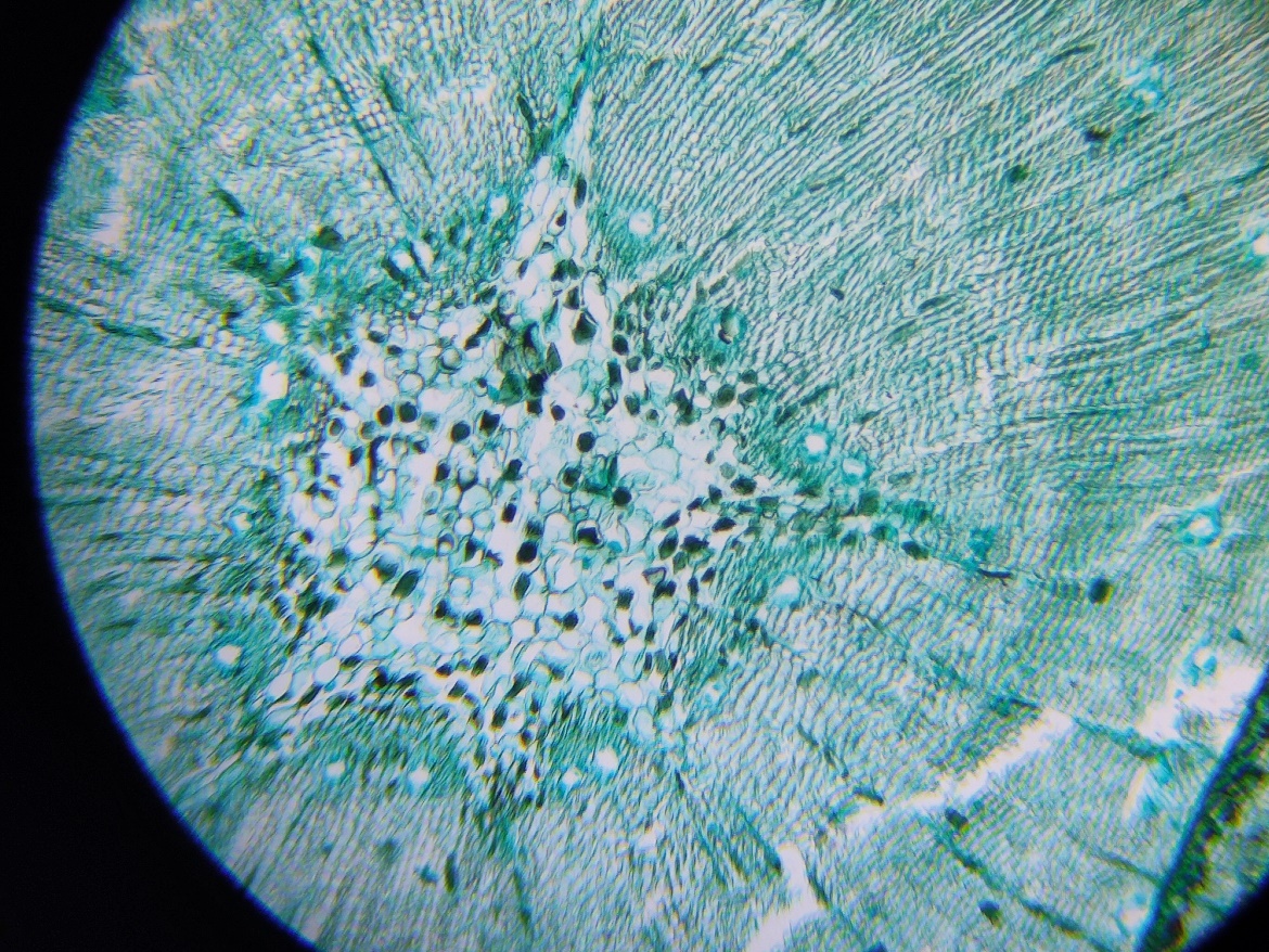 花式搞电脑,花式投影仪玩法