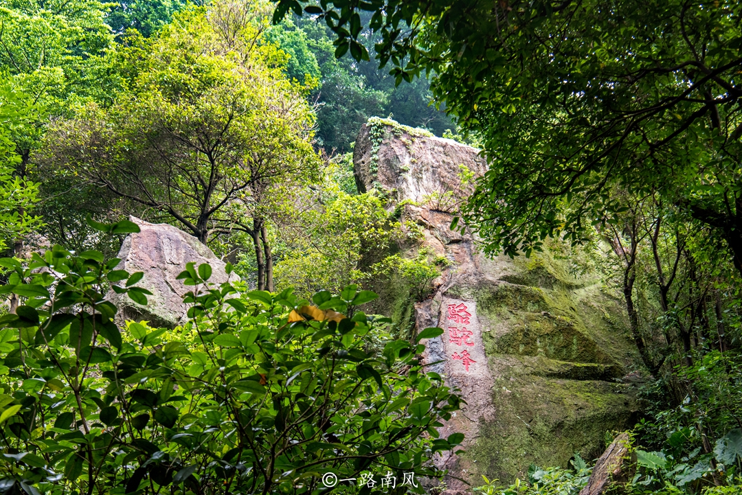 佛山西樵镇环境怎么样,佛山市西樵镇西樵山风景区