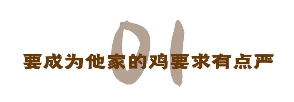 广东人夸鸡好吃,东北鸡哪家好吃