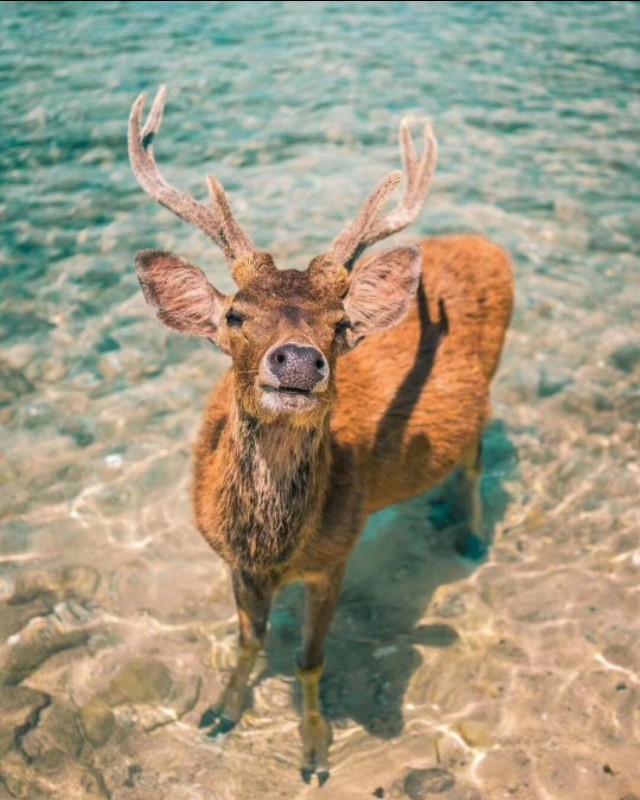 第一次邂逅就去了酒店,巴厘岛双人游定制游