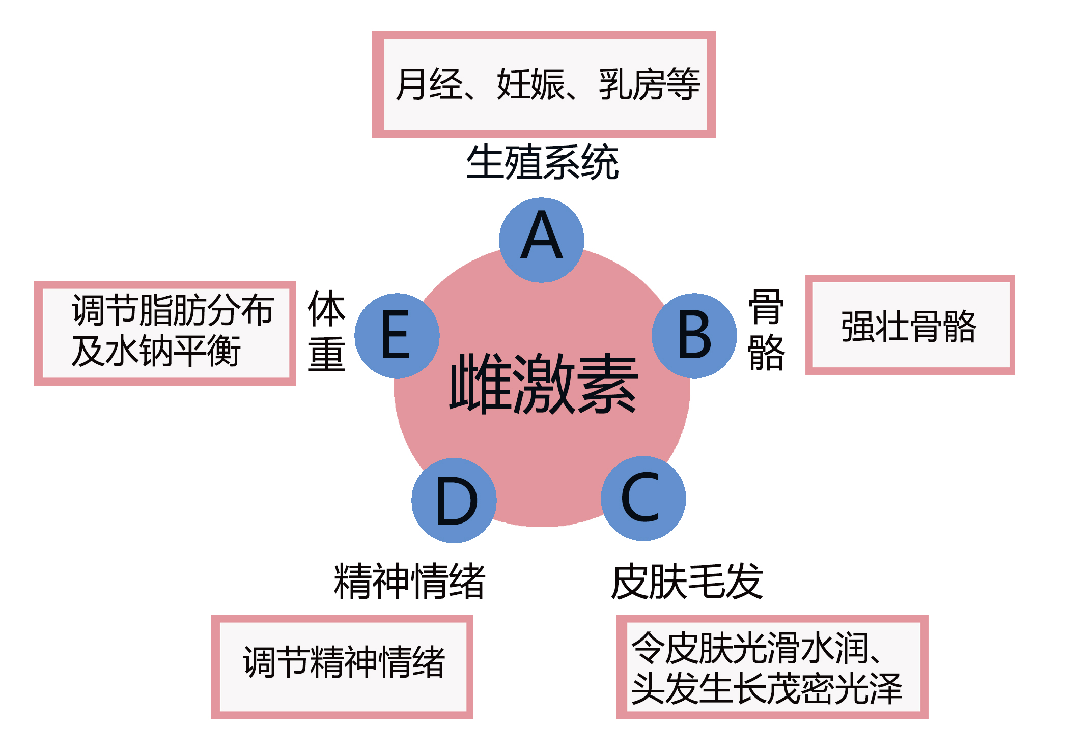 通过食补雌激素，延缓卵巢早衰？专家说：不靠谱！补过量还有害
