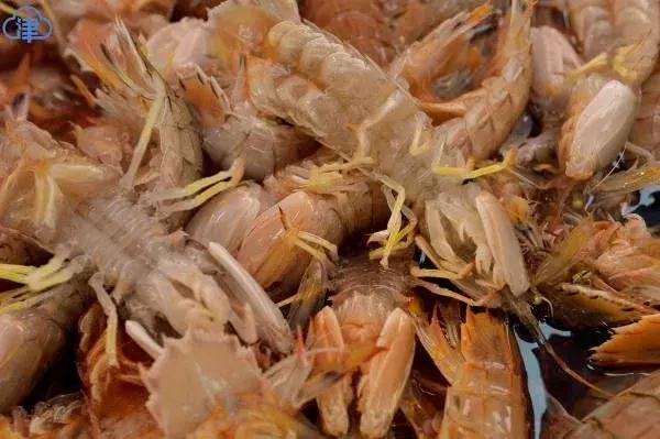 在天津的美食,天津开海美食攻略