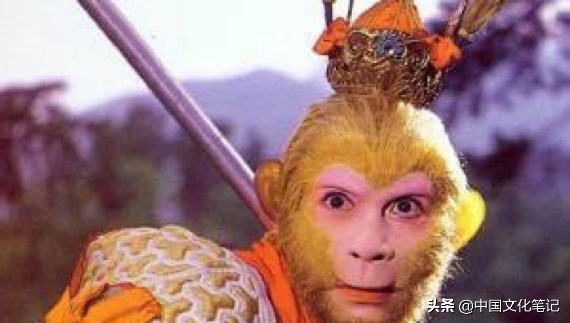 唐僧吃宴席,唐僧吃中餐视频