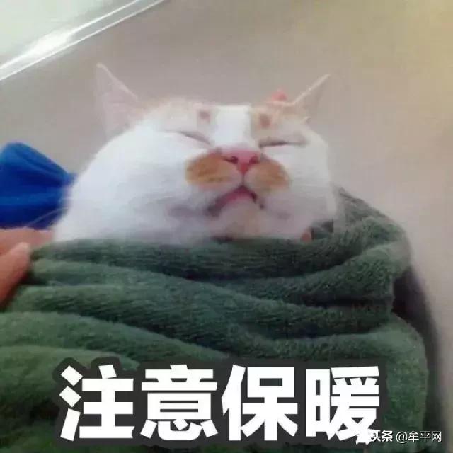 牟平区今天几点下雨,牟平明天天气与风力情况