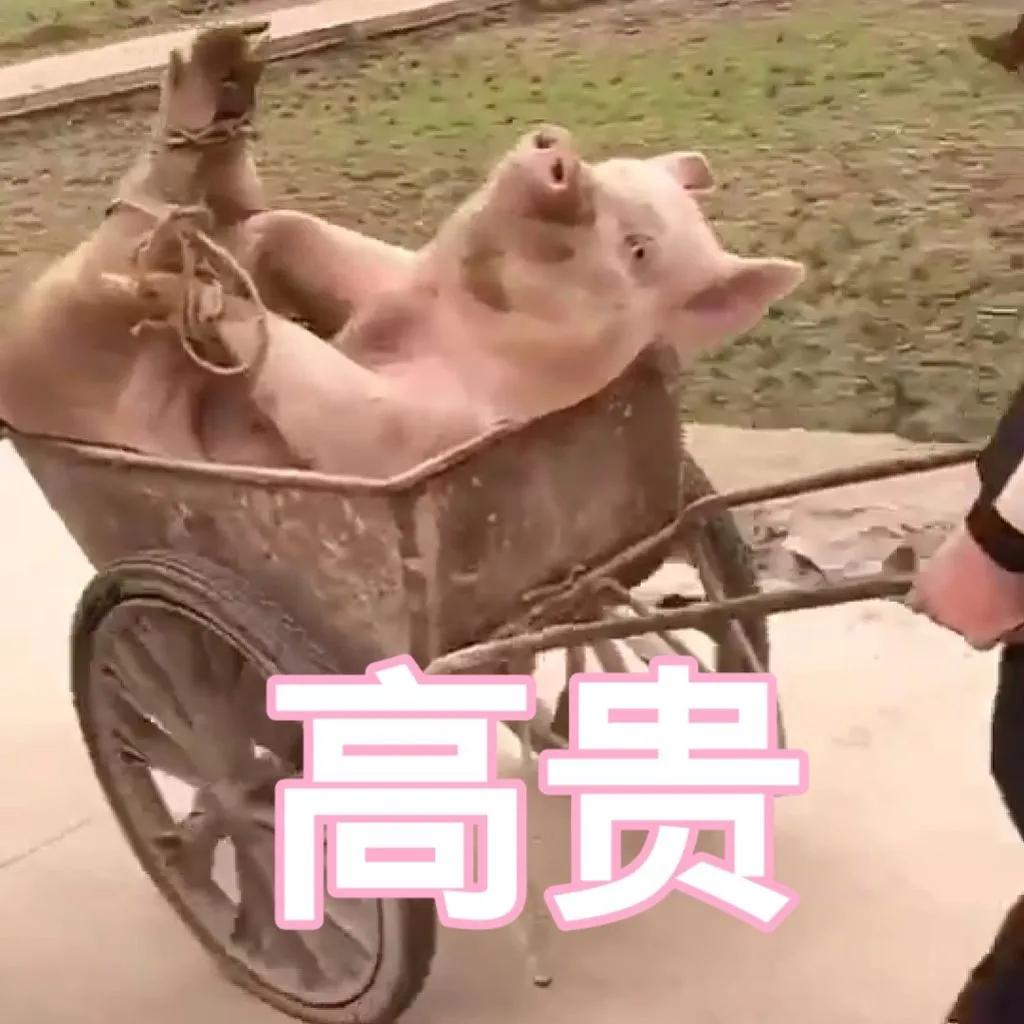 耳朵敏感整个人酥掉,人的耳朵有多脆弱