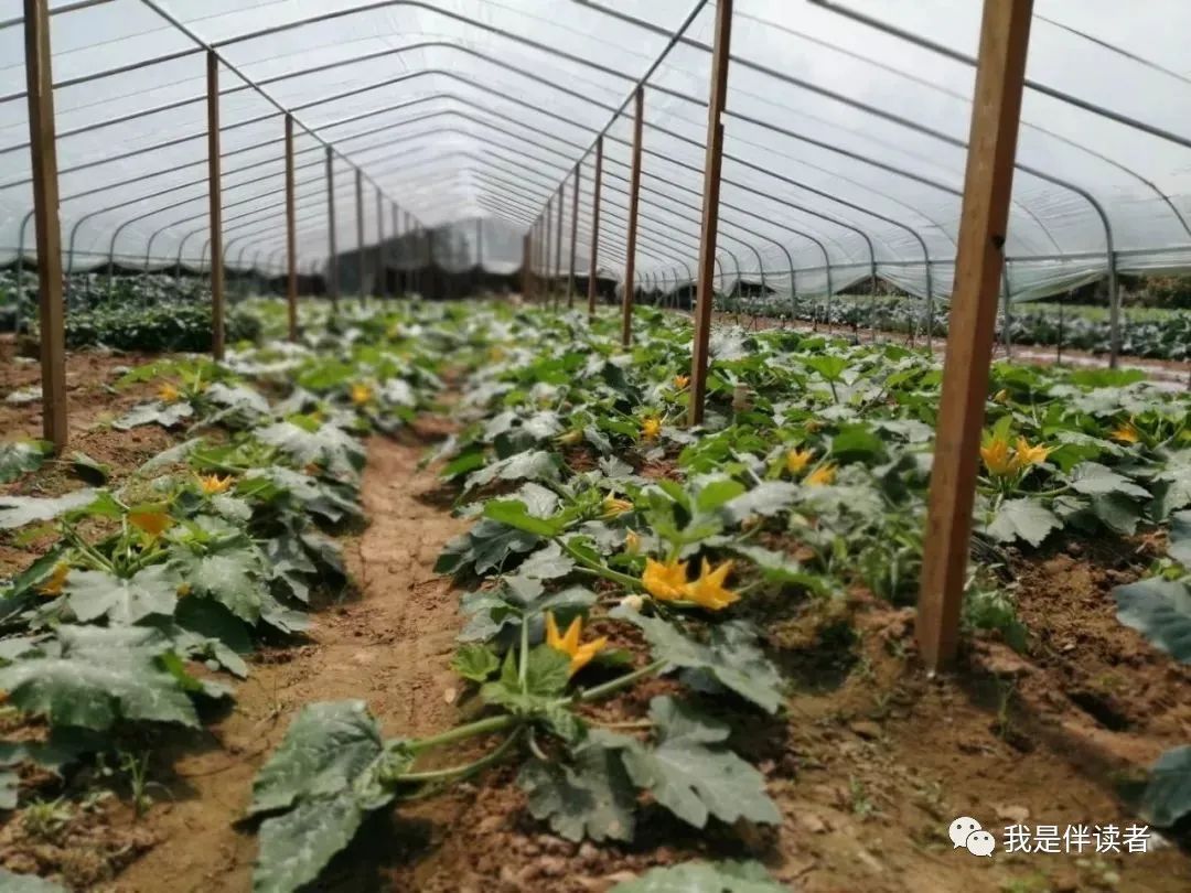 中原区公立幼儿园,郑州市中原区私立幼儿园怎么报名