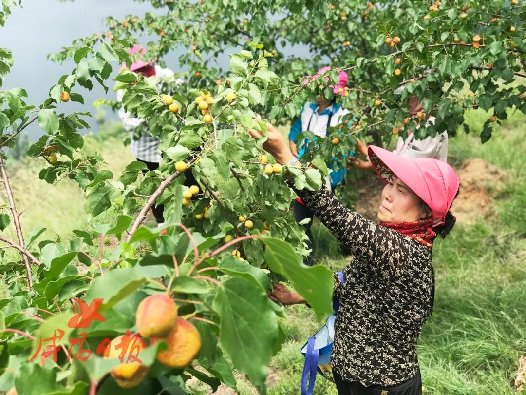褰撳垢绂忔潵鏁查棬鎵撳紑闂ㄥ幓杩庢帴鏈潵,褰撳垢绂忔潵鏁查棬閮槼閮寒鍘熷敱