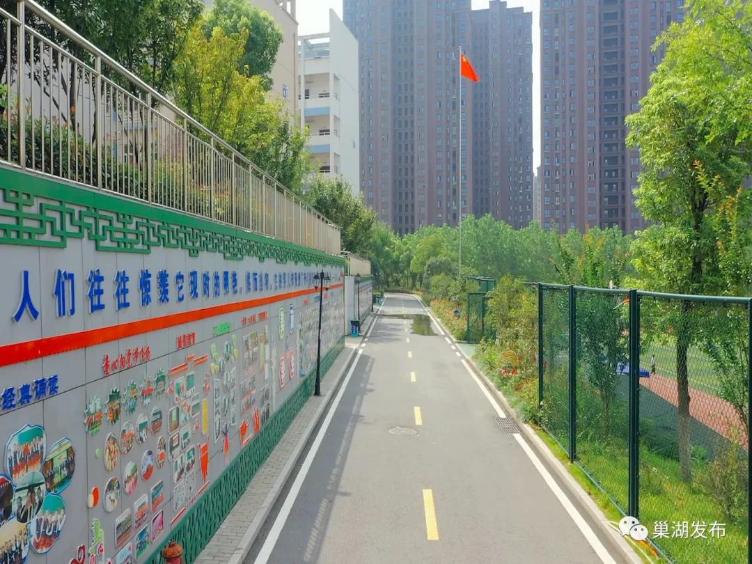 巢湖七中中小学,巢湖七中学校