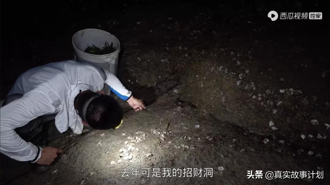 跟思乡渔夫一起赶海的阿烽去哪了,渔人阿烽赶海抓到了50斤的大鱼