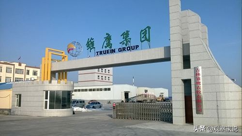 雏鹰退市价格,st雏鹰什么时候退市