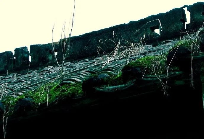 命运的打击,故事命运的挣扎