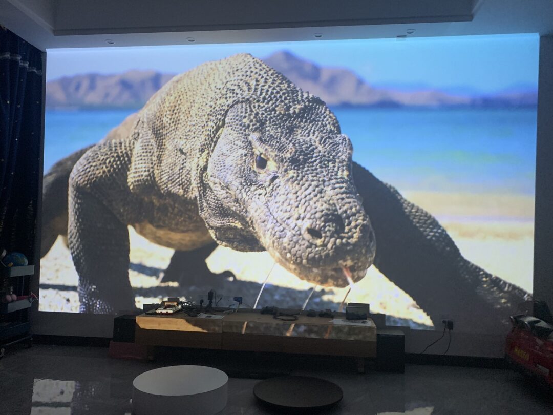 浼樻淳q10q30,浼樻淳q10濡備綍璁剧疆