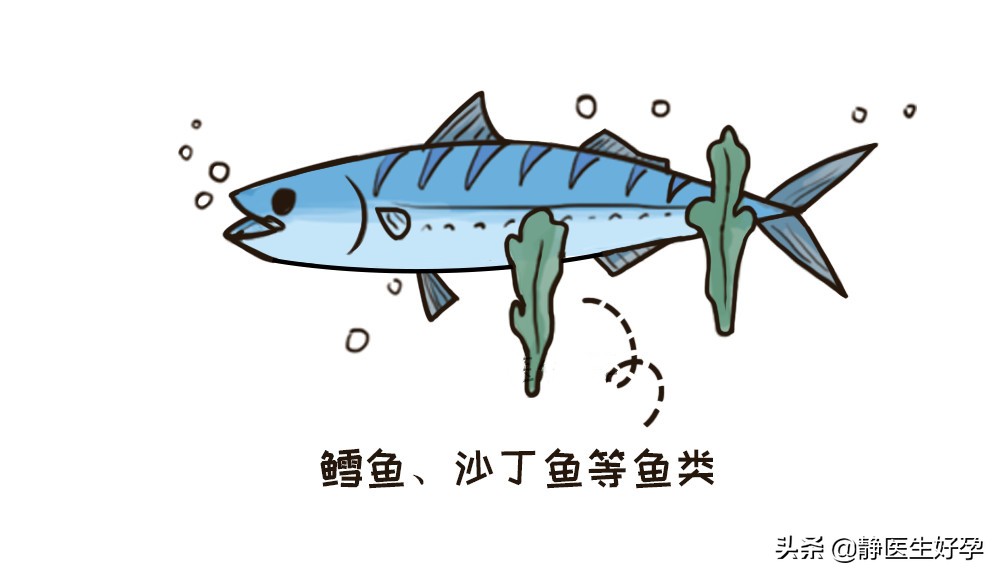 备孕促卵泡发育操中医,备孕躺着养卵泡