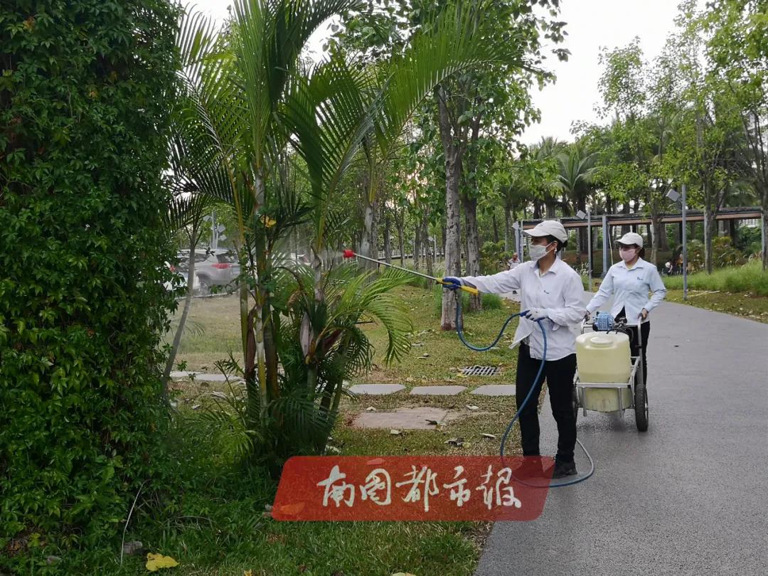 消杀蚊虫的好处,消杀蚊虫烟雾对人体有害吗