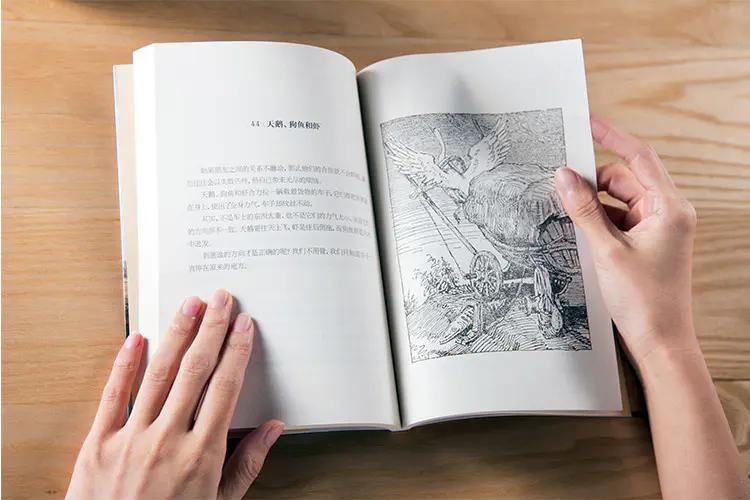 小学语文课外必读推荐,小学语文四年级必读课外阅读