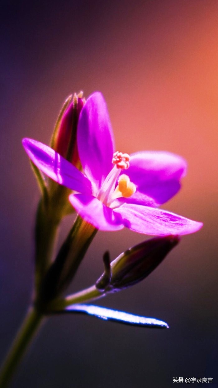 情感语录句句经典的说说,情感语录说说句句刺痛人心