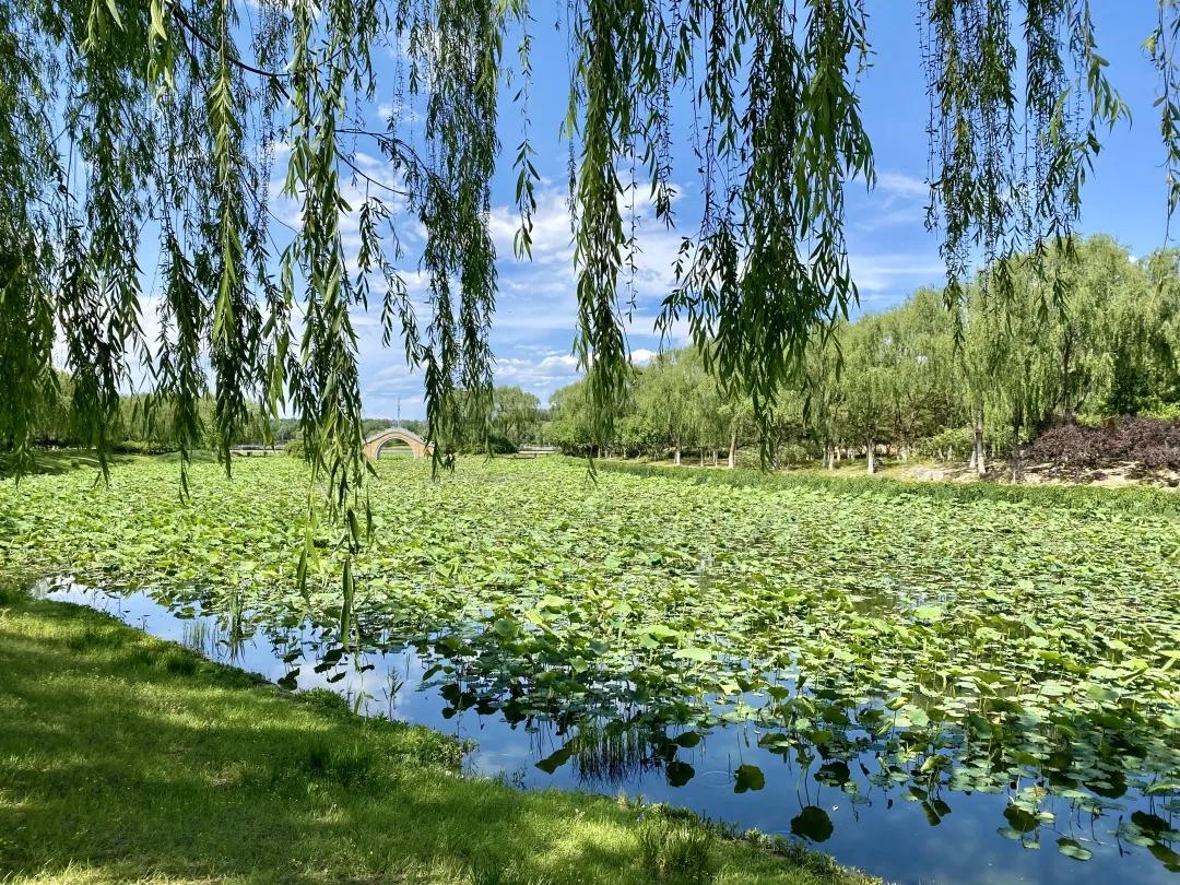 畅游通州大运河！神舟国旅携手103.9交通广播《百姓TAXI》邀请百名“的哥的姐”欢乐家庭游！