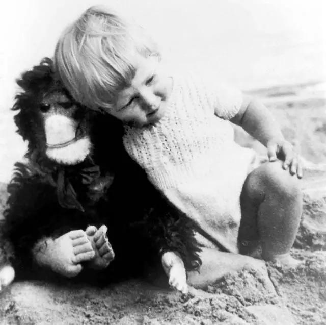 珍古道尔的传奇一生黑猩猩,珍·古道尔和黑猩猩