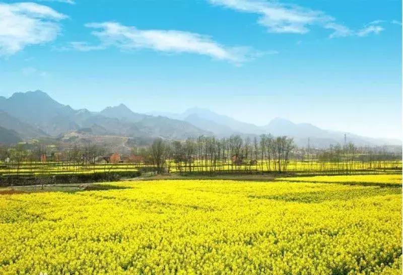 江西省有个莲花县,江西莲花县莲花镇