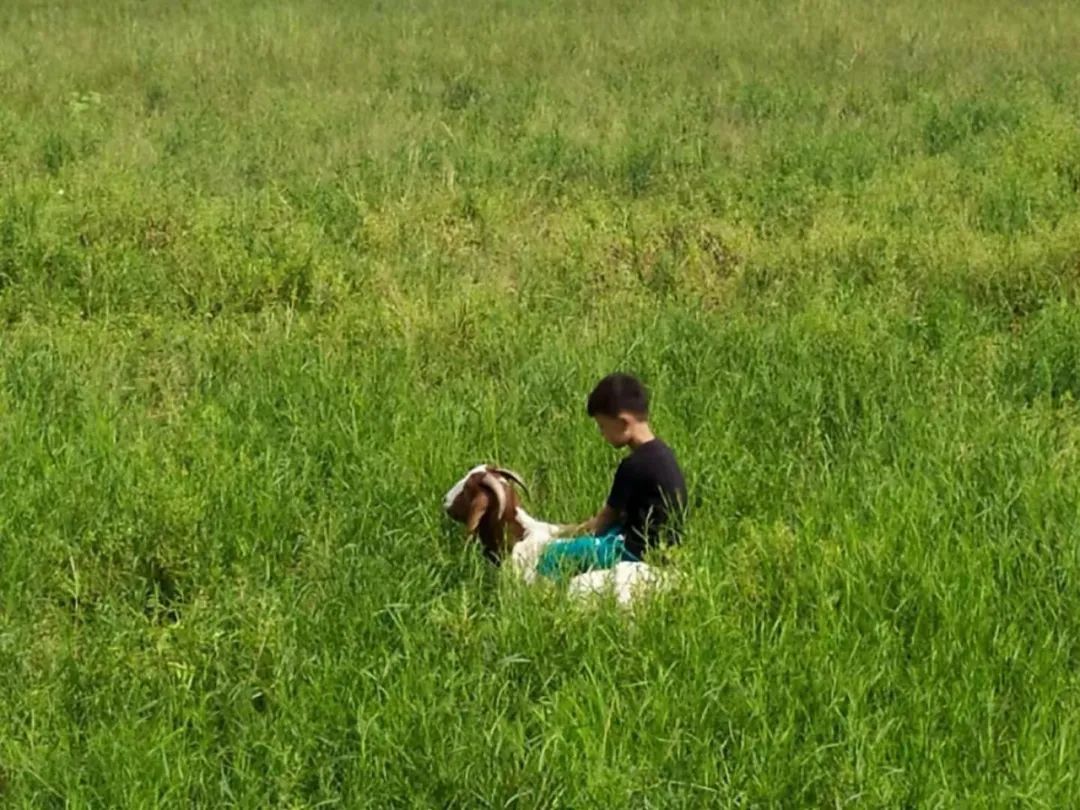 发现孩子有些问题屡教不改,屡教不改的孩子怎么办