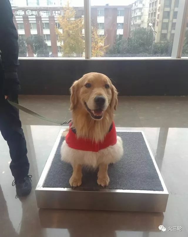 在ifs里面上班的人,在成都ifs上班的一天