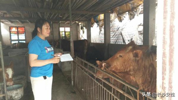 长沙市长沙县女性村（社区）的主职们在基层工作中“奋斗新征程绽放她力量”