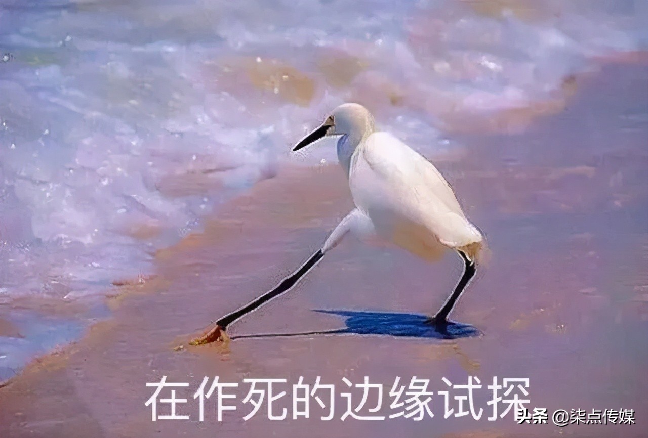 香奈儿图片引发的事件,香奈儿对抄袭的态度