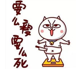 ypl系列产品盘点,ypl潮品