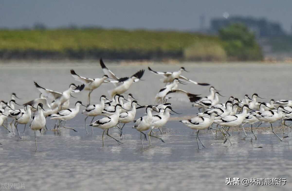 北海养老首选,北海和乳山银滩哪个更适合养老
