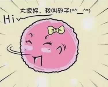 备孕时吃什么药能促进卵泡发育,卵泡发育不好如何备孕