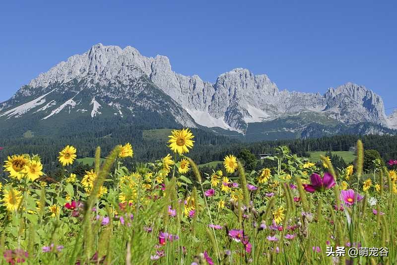 和不喜欢的同事出差住一起咋办,和异性同事一起出差该怎么办