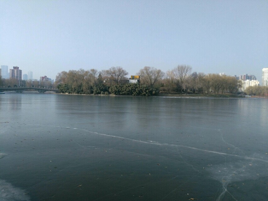 畸形的爱,畸形的爱情电影