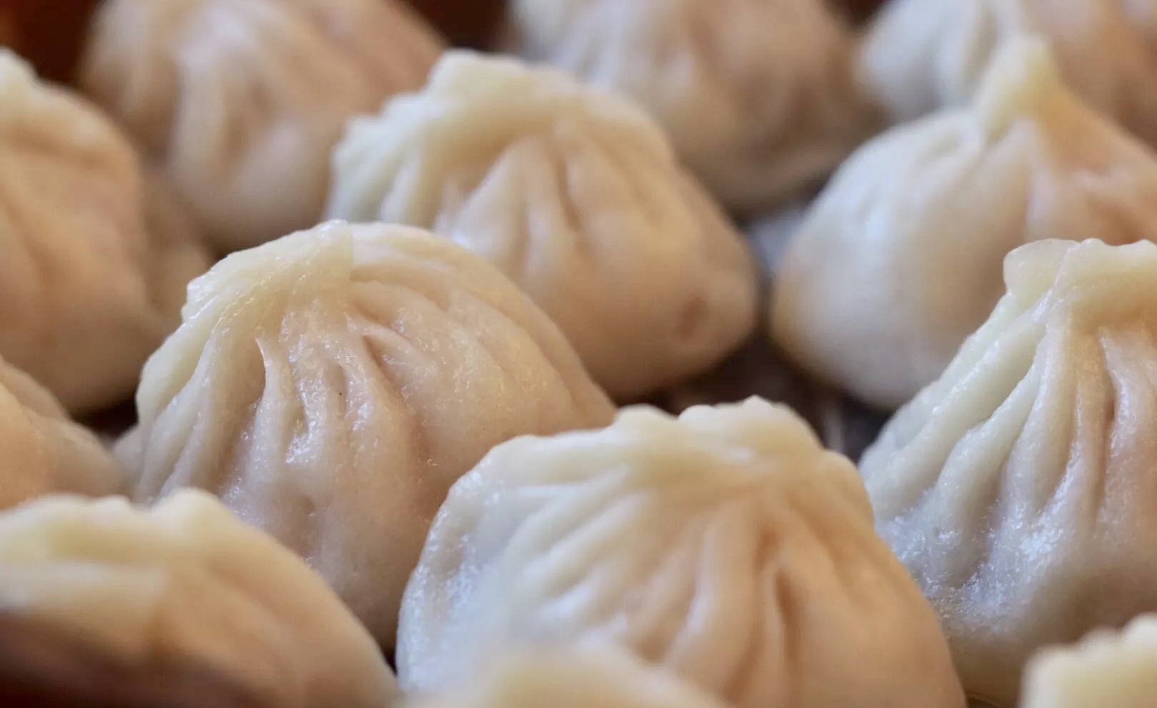 上海人觉得南翔小笼好吃还是苏式,上海哪儿的南翔小笼包好吃