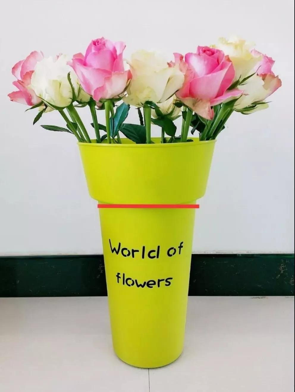 玫瑰养护教程文字,玫瑰养护技巧与方法