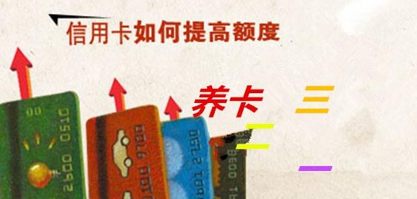 怎么养卡手续费低,如何养卡不被封号