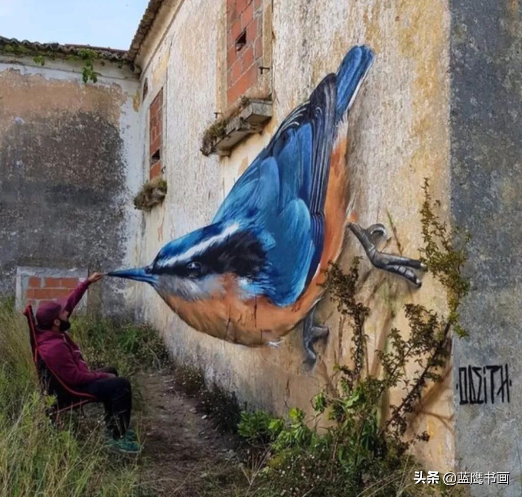 一张图看懂3d立体画,蓝鲸怎么画逼真3d立体画