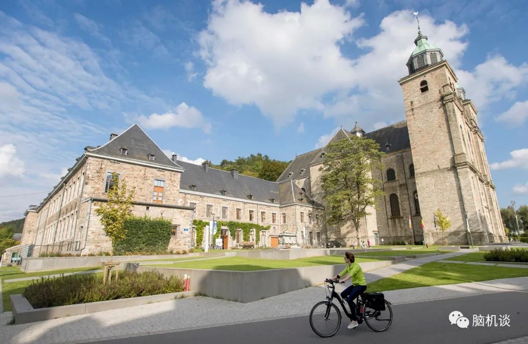 ​《脑机往事（3）—维达尔的秘密》