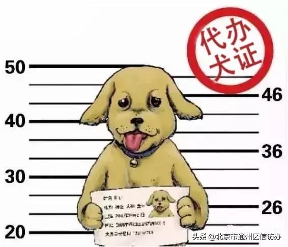 网上办犬证需要钱吗,办狗证中介北京