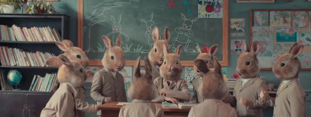 驯兔记感悟,驯兔记小孩