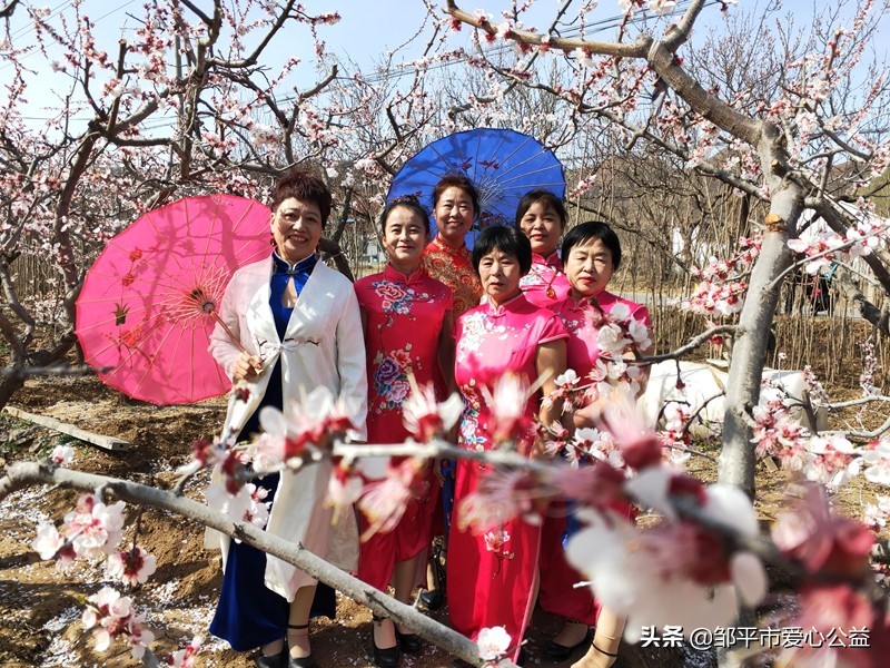 邹平黛溪张高杏花节直播,张高杏花节开幕式完整版