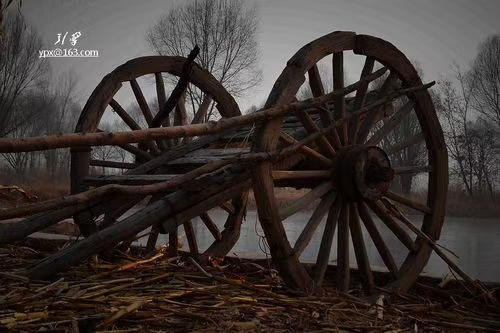 古代丝绸之路的交通工具,丝绸之路上的交通工具