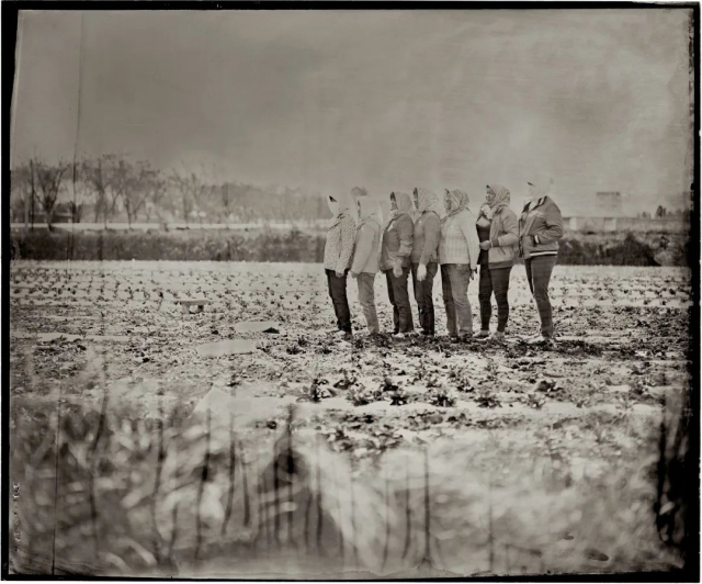 奥林巴斯摄影圈,奥林巴斯相机业务被谁收购