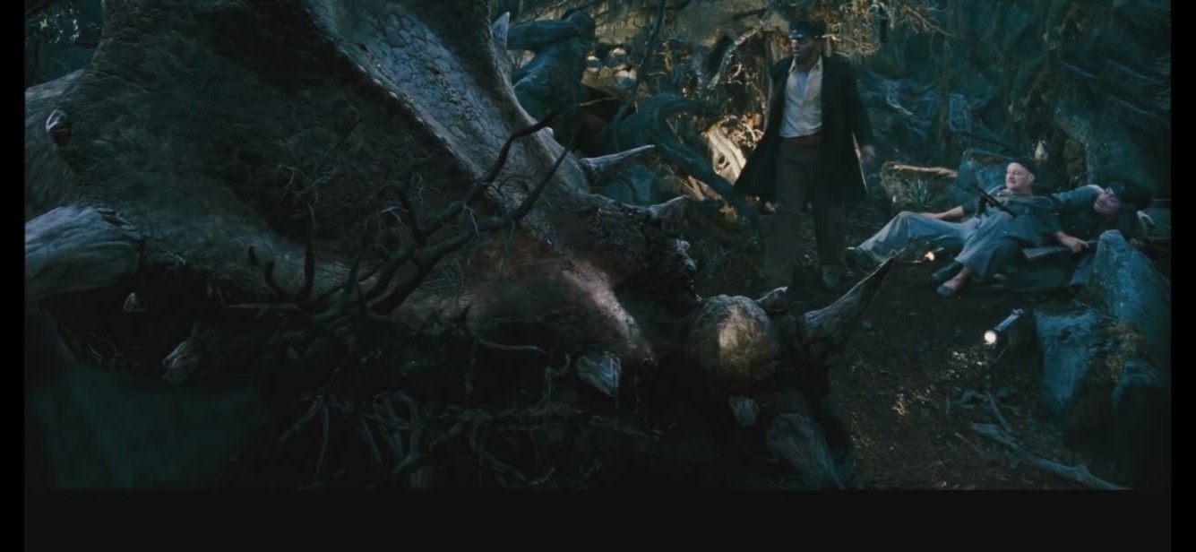 电影金刚想说明什么,电影金刚告诉我们什么