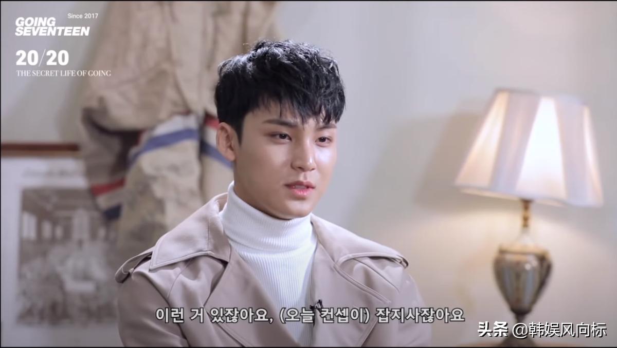 seventeen说怀疑为什么会成为爱豆,seventeen评价自己团综