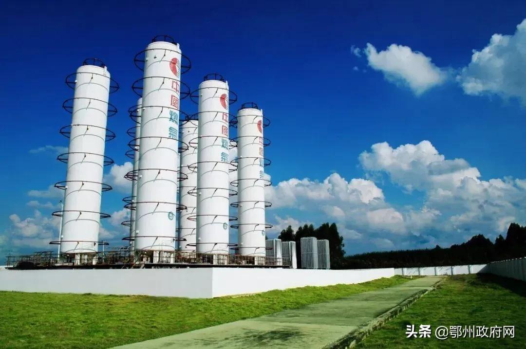 市长陈平率队赴深圳开展精准招商，拜访了这些行业龙头隐形冠军