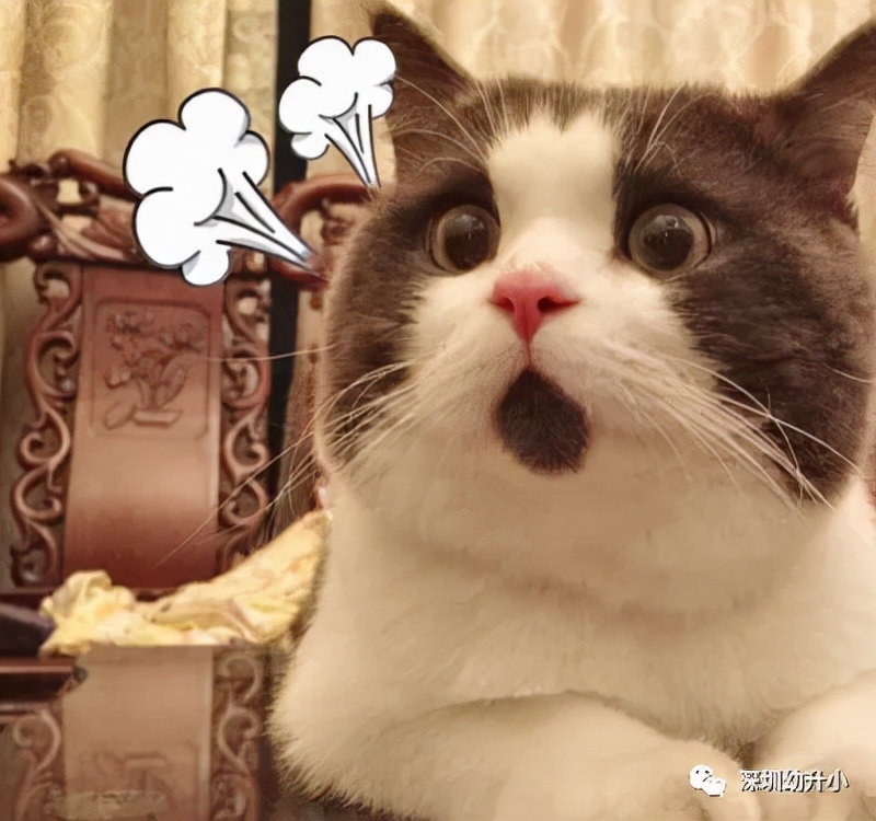 深圳小孩读书跟户籍有关吗,在深圳小孩读书有多难