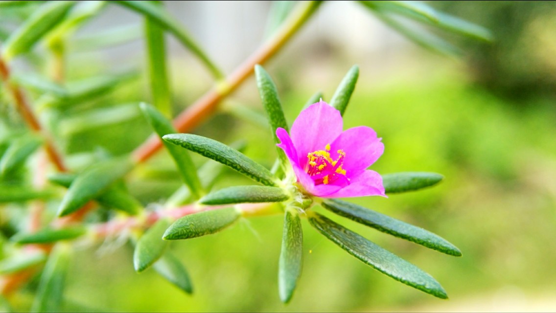 摄影的艺术魅力在哪里,摄影的艺术美感